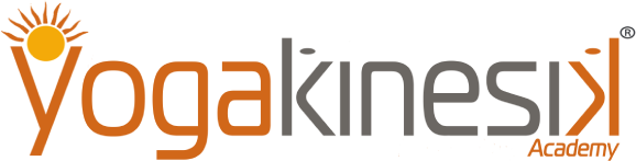 Kinesik Logo