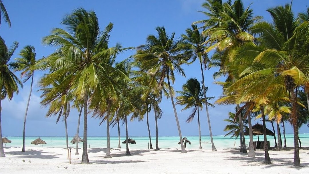 Spiaggia tropicale di Zanzibar